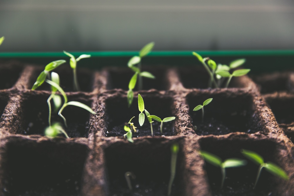 Leveraging Technology and HR to Drive Scalable Growth